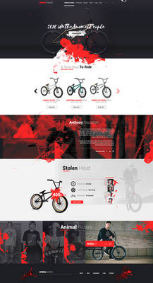 Animal Riders - Web Design