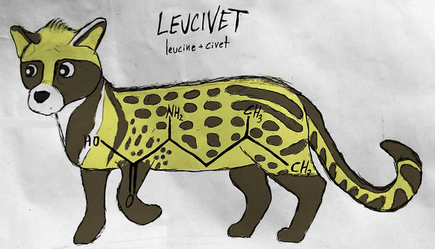 Leucivet