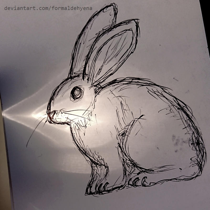 Shin Sun Rabbit Sun... rabbit? by formaldehyena on DeviantArt