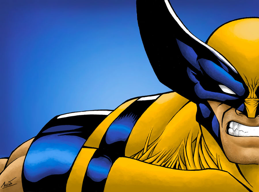 Wolverine Color by lucasgomesdesouza on DeviantArt
