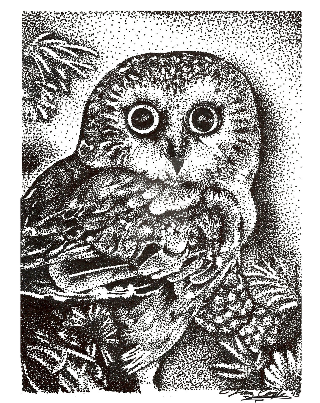 Pointillism Owl Drawing