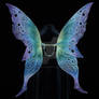 Eve Fairy Wings