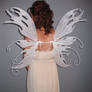 Melody's  Fairy Wings 1
