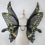 Ariel Female Black Swallowtail Butterfly Fairy Win