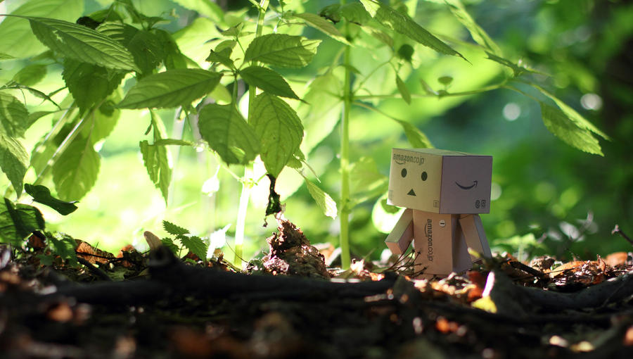 Danbo loves green