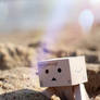 Danbo on the beach II