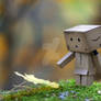 Autumn Danbo II