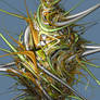 3D Pickover Stalks test