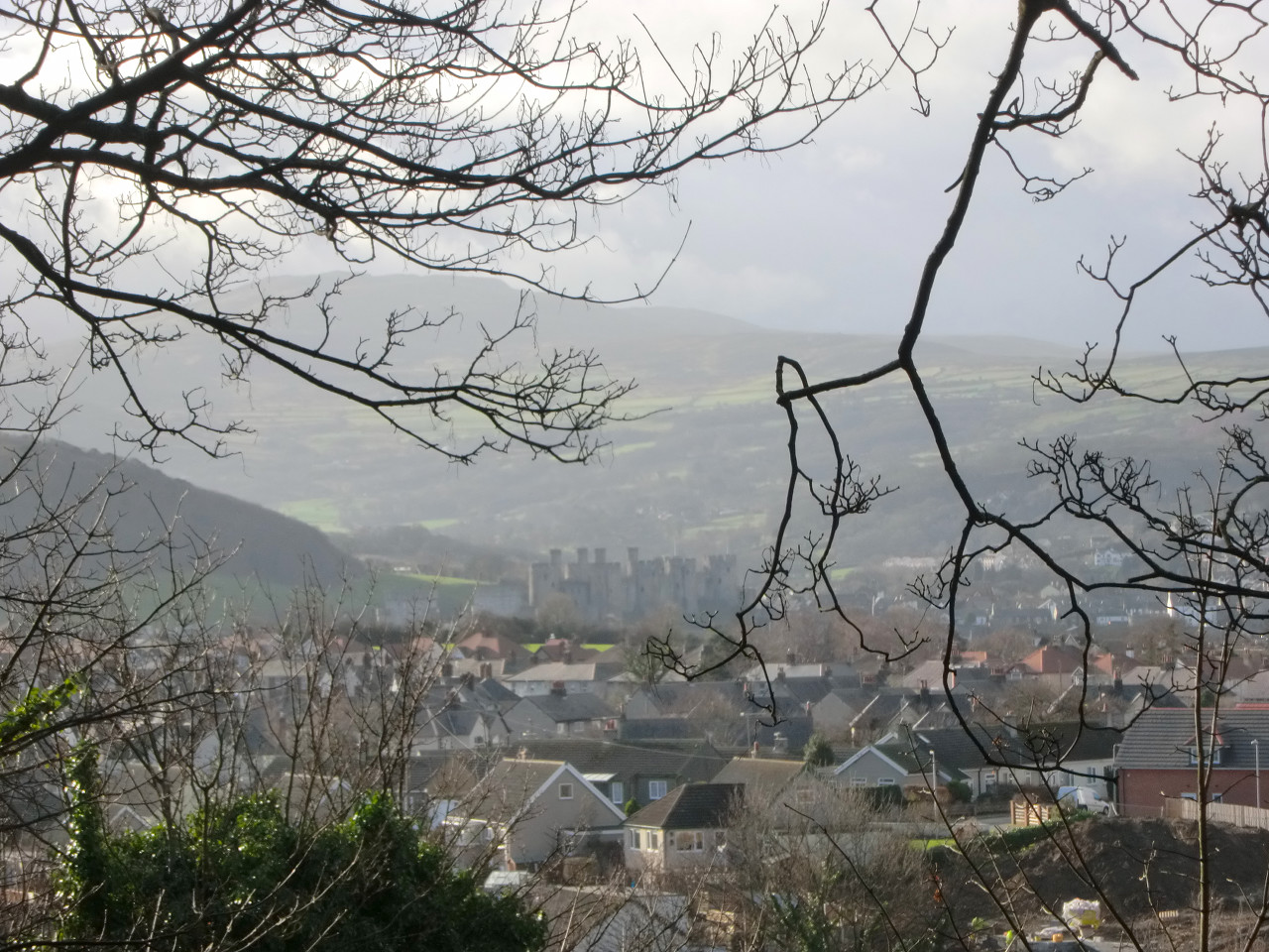 Conwy through the trees