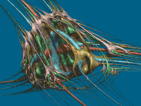 Alien Interface - ANIM