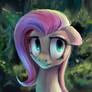 Fluttershy