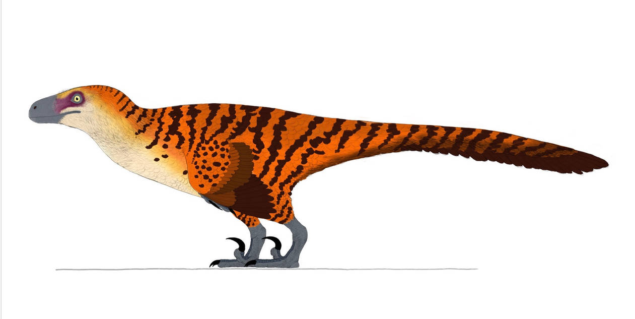 JP2 raptor accuracy by neaji on DeviantArt