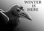 Winter Is Here by ChrisBryer