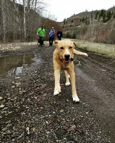 Abby Out On Her Hike