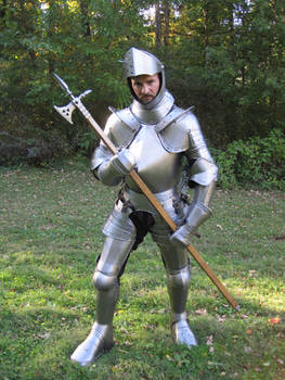 German Tapulbrust Armor 3