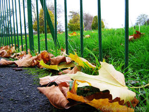 Autumn in London