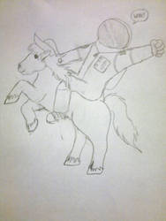 Neil Armstrong riding a pony.