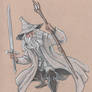 Gandalf the Grey (wearing grey)