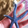 Starfish