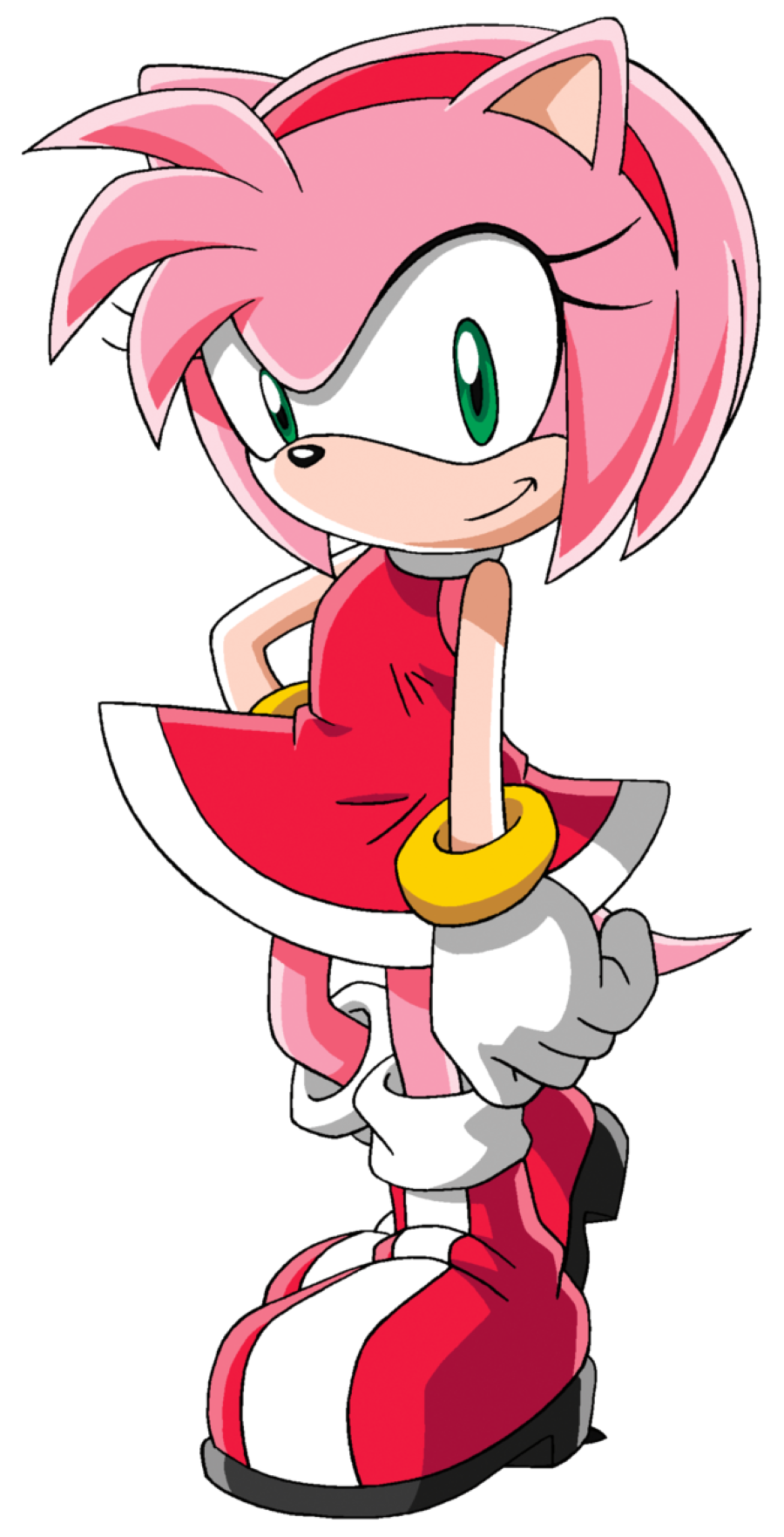 X Bio: Amy Rose by FrostTheHobidon on DeviantArt