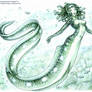 Eel-Mermaid
