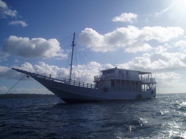 Bintang Sedang, Wakatobi National Park, Indonesia