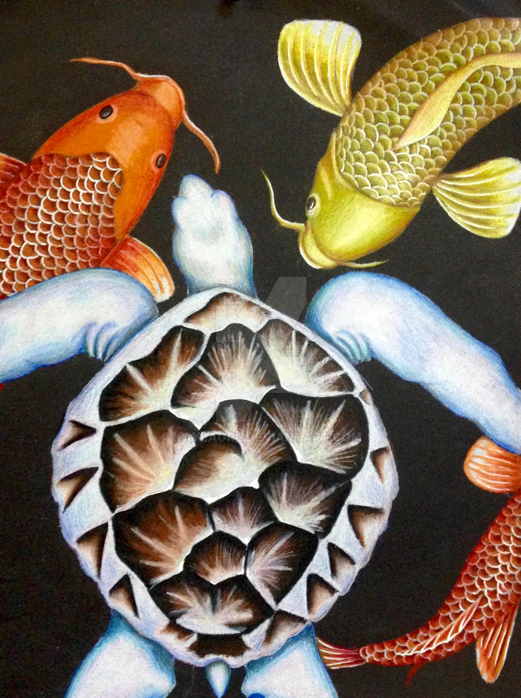 The Turtle and the Fish by KaylaGrl on DeviantArt