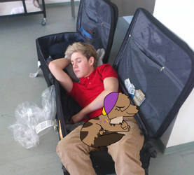 Aussie's sleeping with Nialler ouo