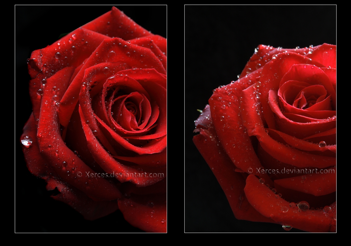 Passion And Lust Diptych