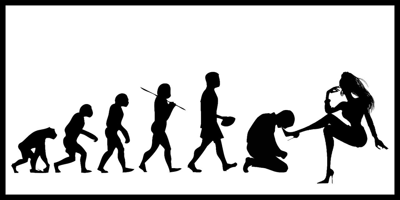 Woman Evolution Deviantart you stopped evolving. SHE didn't by tropicalgerb on DeviantArt