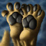 Lance's paws by the awesome Vulpes on FA~!