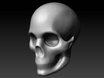 Skull Nov 26 2011