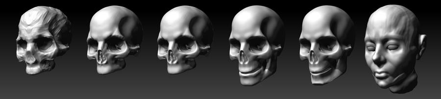 Skull progress