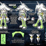 Neige the Cat - Model Sheet