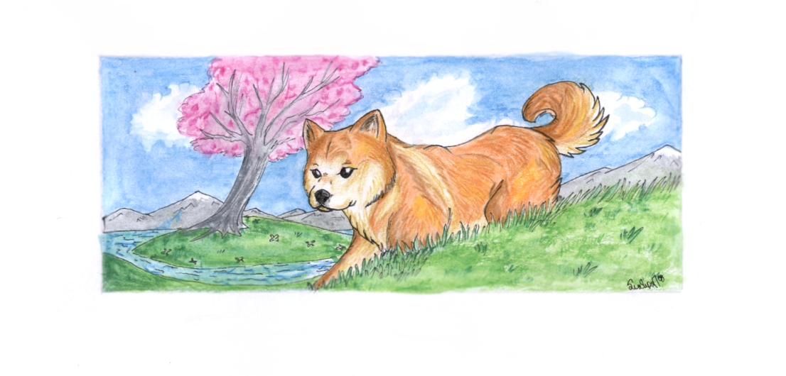 Akita Inu