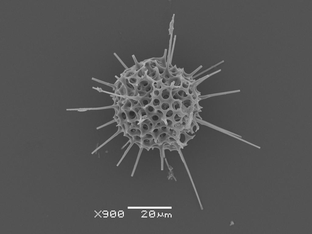 MICROSCOPIC DEATH BALL by scilk on DeviantArt