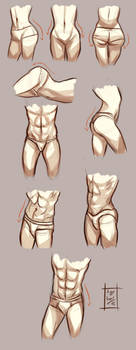 Hips study