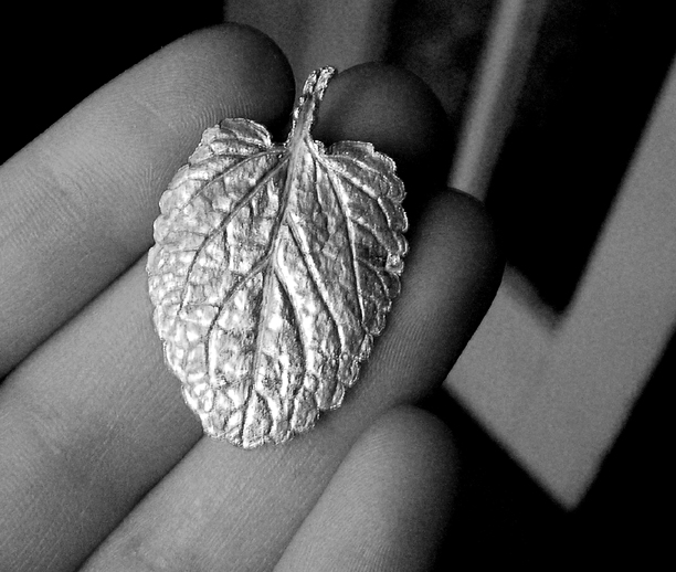 Silver Mint Leaf