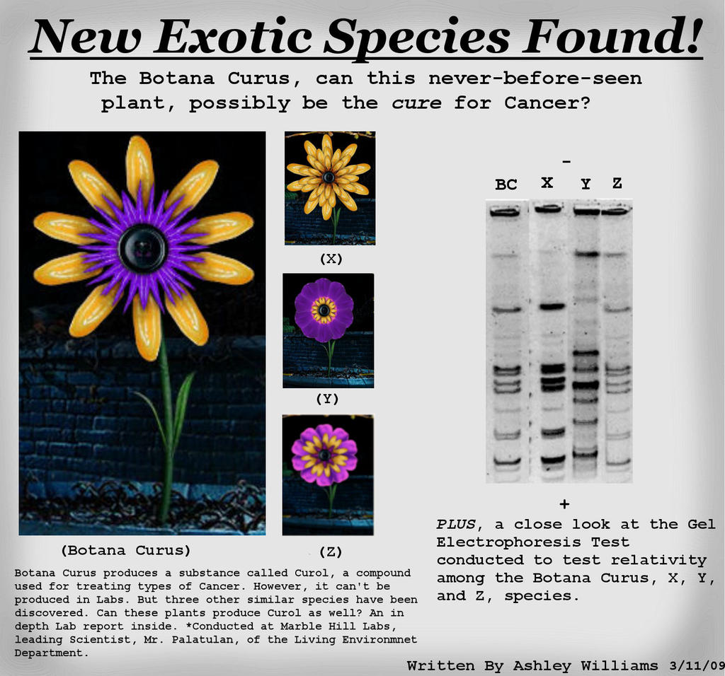 Flower Science Project Report | Best Flower Site