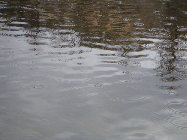 Rain Drops - 02 by caffinefreek on DeviantArt