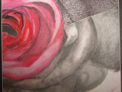 A Rose 2