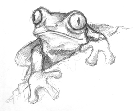 frog