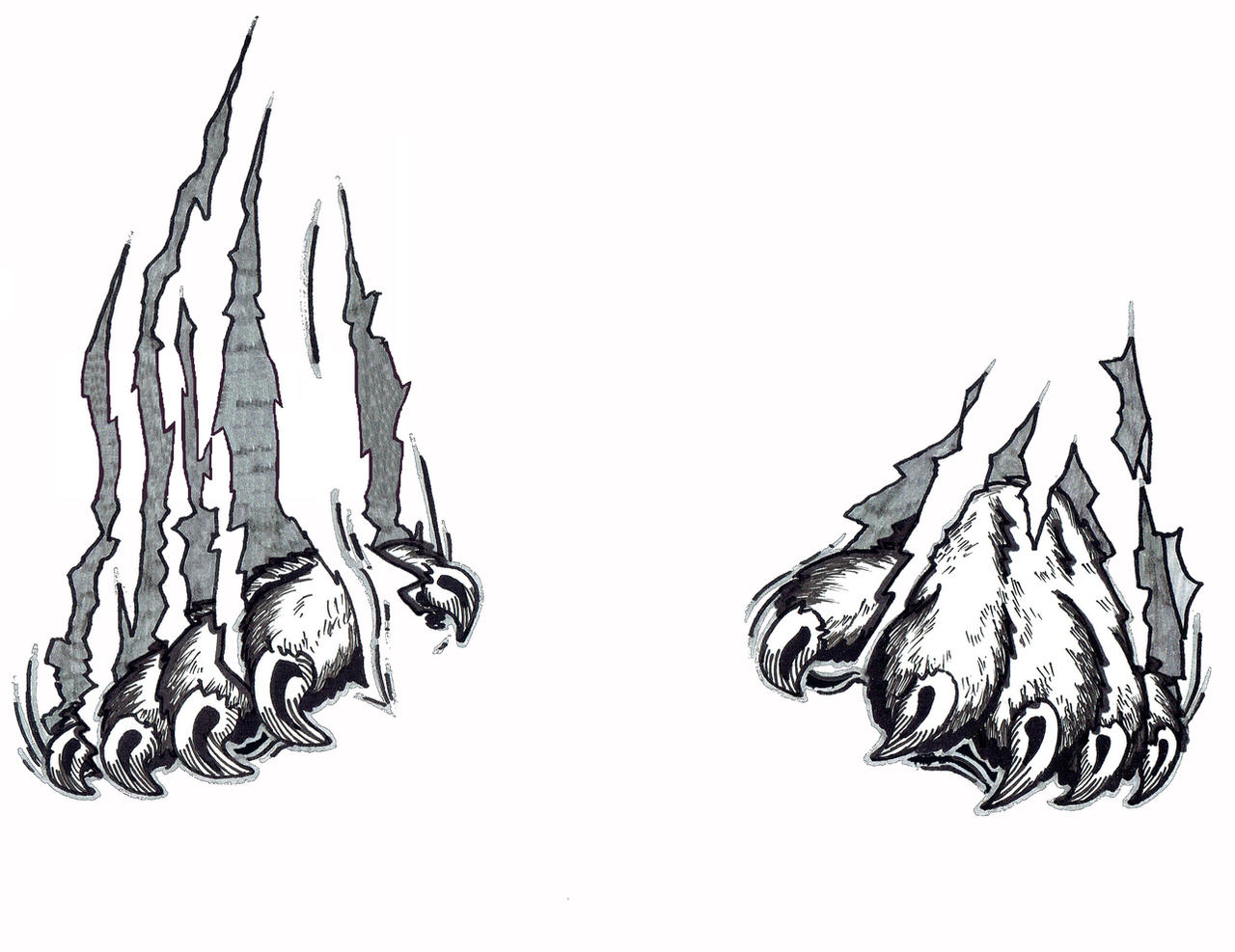 Claws Ripping Design Cougar Claws Tear on White Background by DavidFiggins on DeviantArt