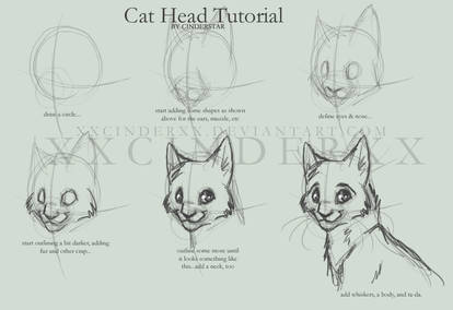 Tutorial for Cat Heads