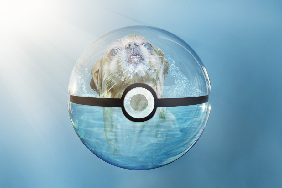 Pokedoge