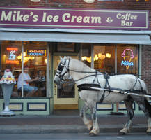 Horses Love Ice Cream