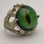 Claw Dragon Eye 3D Hand Painted Sterling Ring