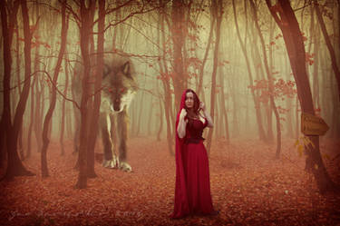 Red and the Wolf Original