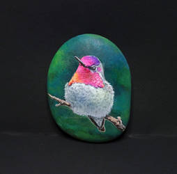 Anna's hummingbird rock painting