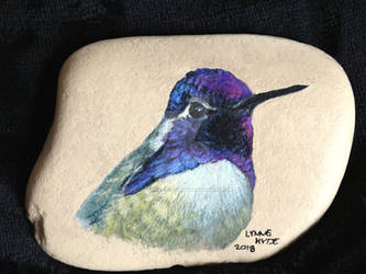Costas hummingbird painted rock